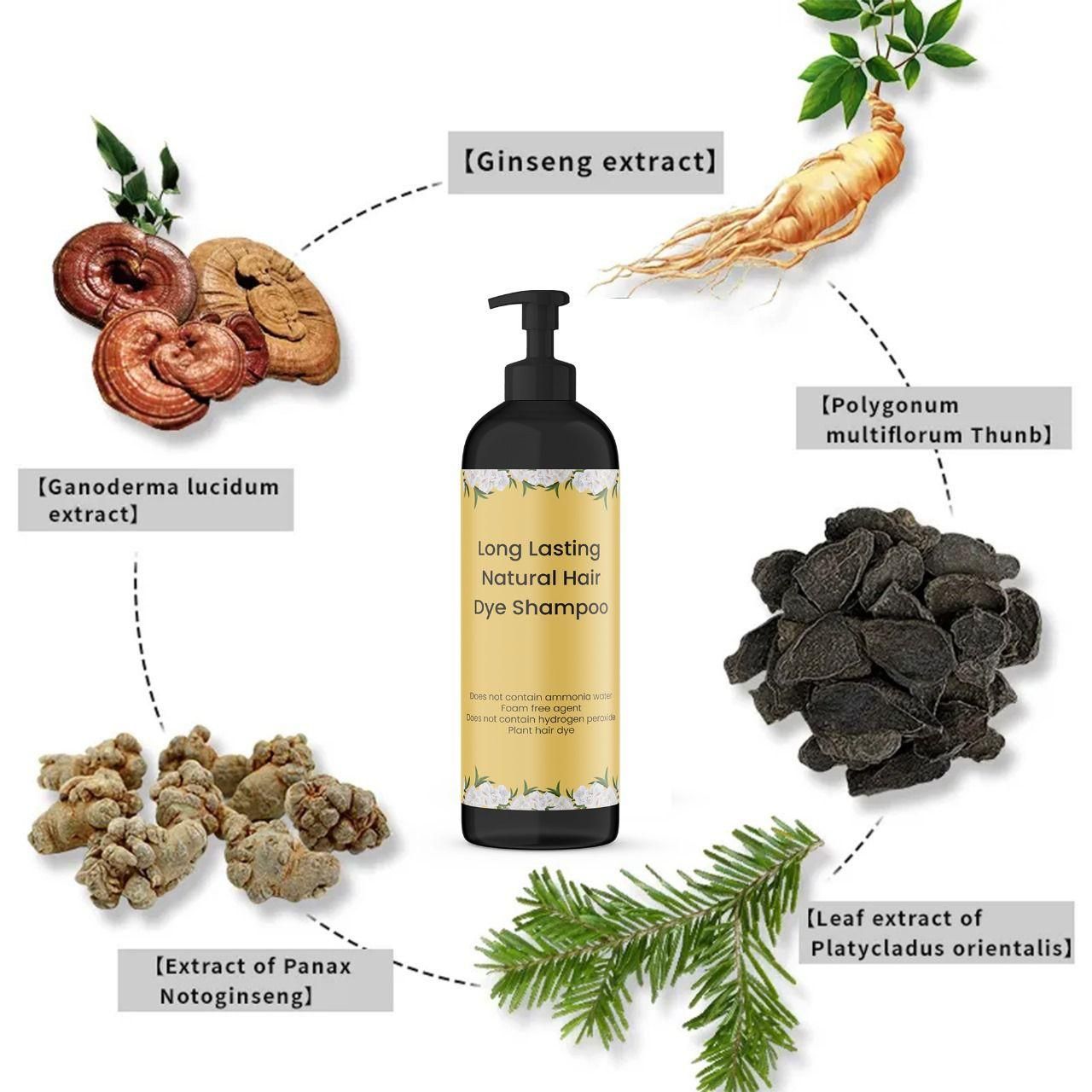 π©πΊππΊππΎππΎ π«πππ π«πΊπππππ ππΊππππΊπ
π§πΊππ π£ππΎ π²ππΊππππ π₯ π‘ππ 1 π¦πΎπ 1 π₯ππΎπΎ π₯