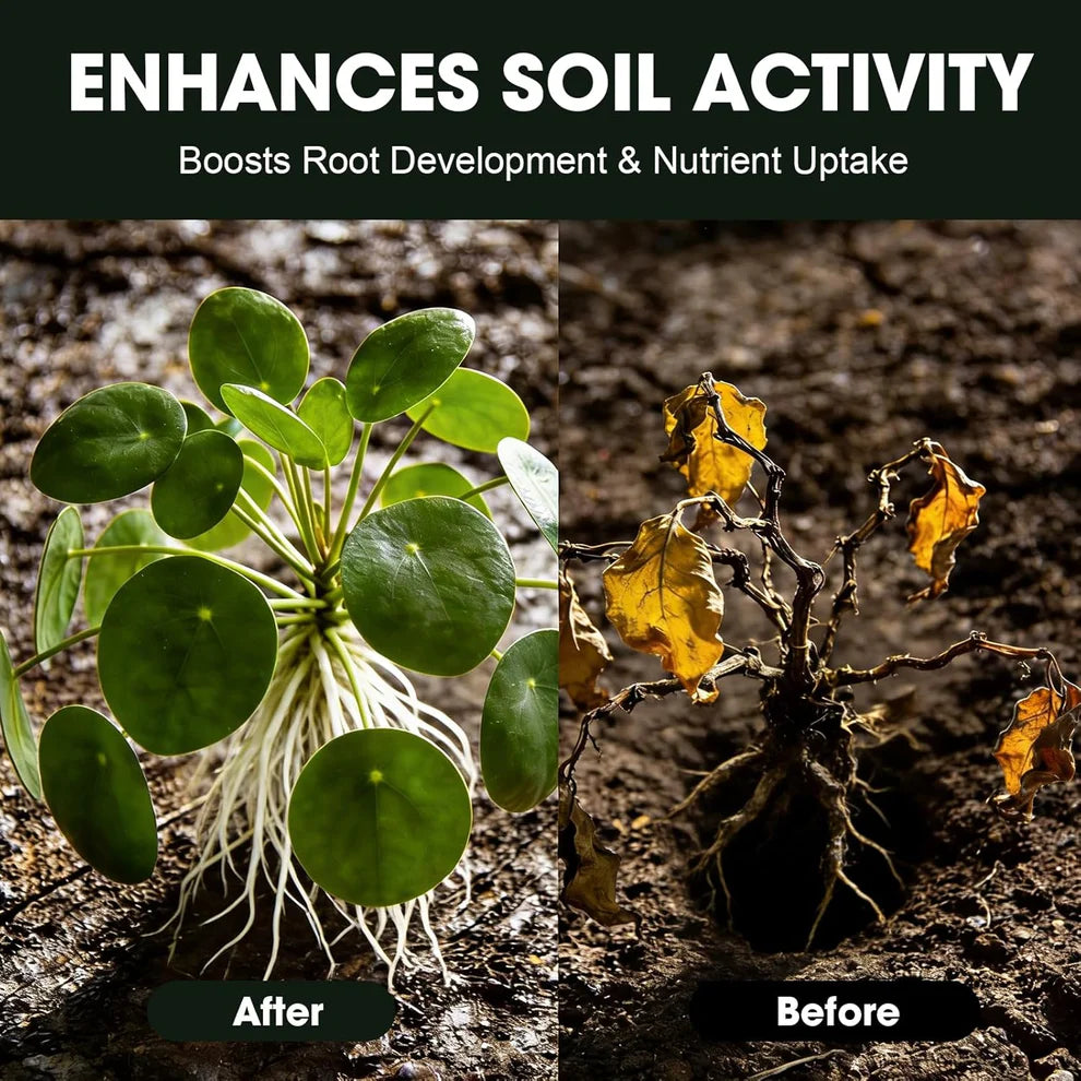 SOIL ACTIVATOR FOR PLANTS (BUY 1 GET 1 FREE)