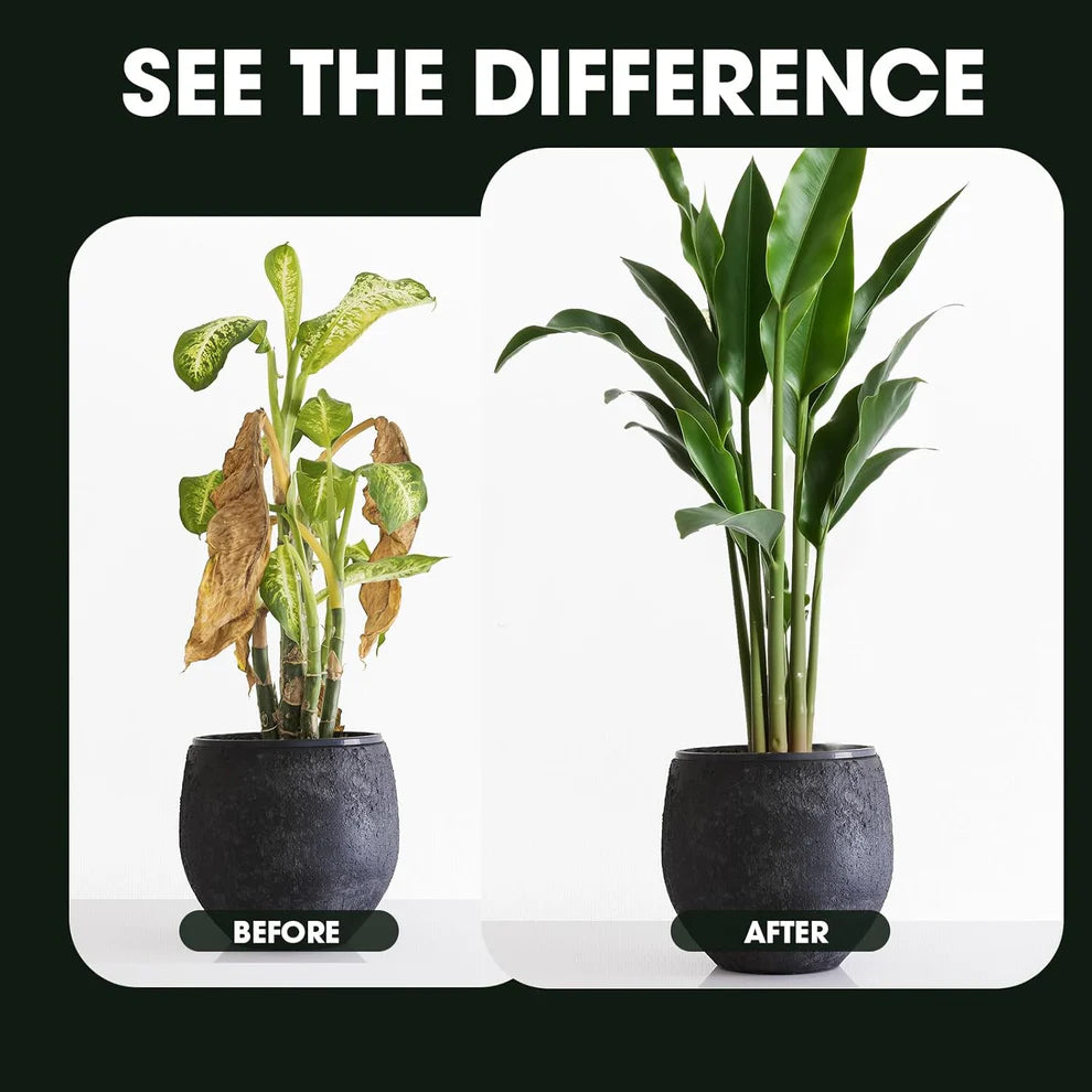 SOIL ACTIVATOR FOR PLANTS (BUY 1 GET 1 FREE)