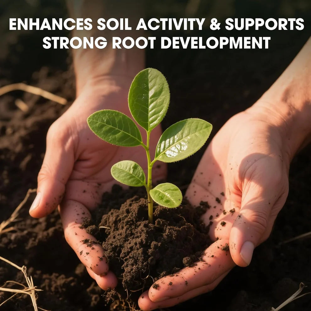 SOIL ACTIVATOR FOR PLANTS (BUY 1 GET 1 FREE)