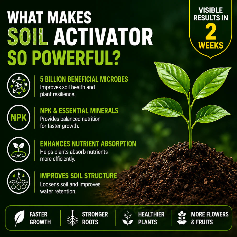 SOIL ACTIVATOR FOR PLANTS (BUY 1 GET 1 FREE)