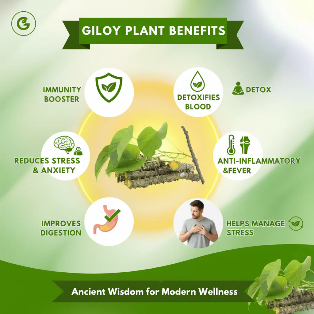 Herbal Giloy Patches (BUY1 GET1 FREE)